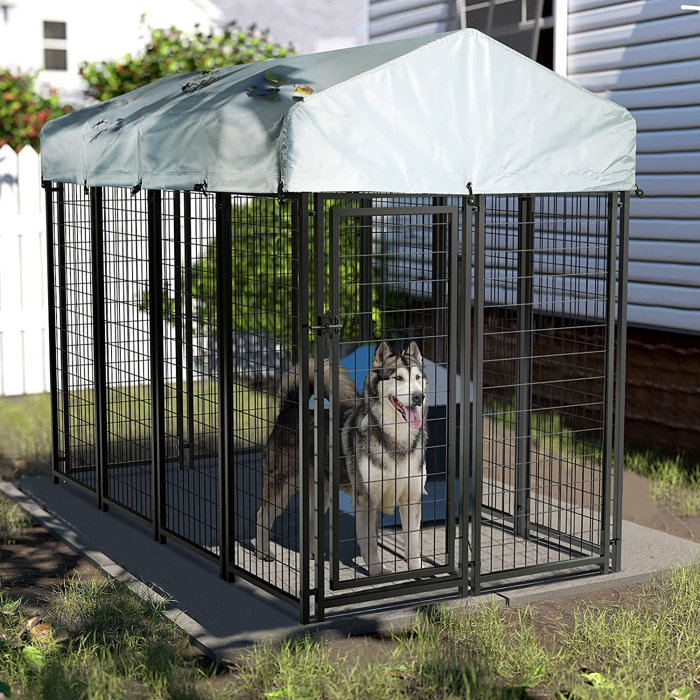 BOSSIN 8x4x6 FT Outdoor Dog Kennel for Large Dogs,Large Outdoor Dog